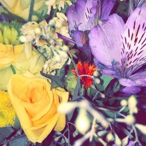 Meet your Posher, Halle